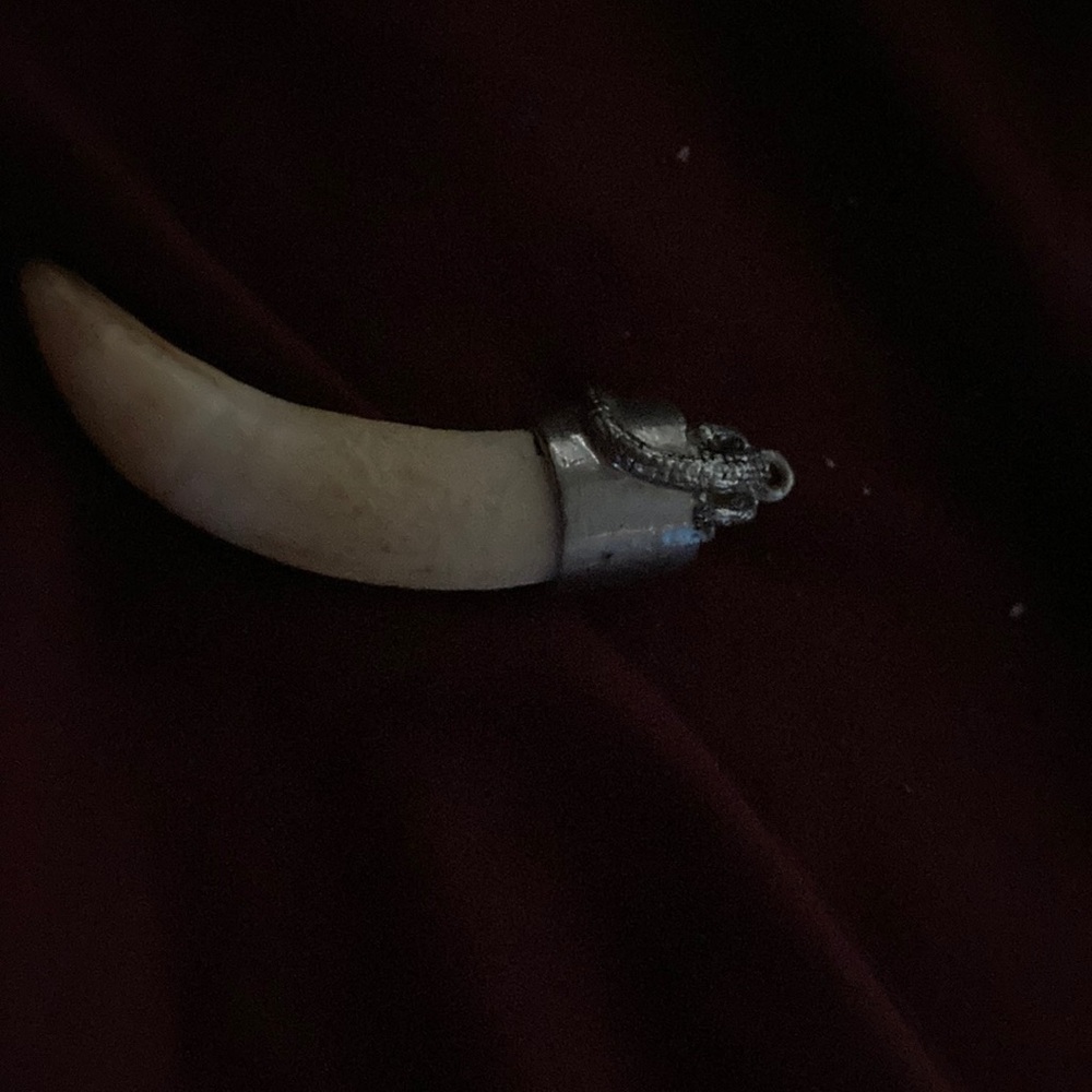 Authentic extra large gator tooth keychain